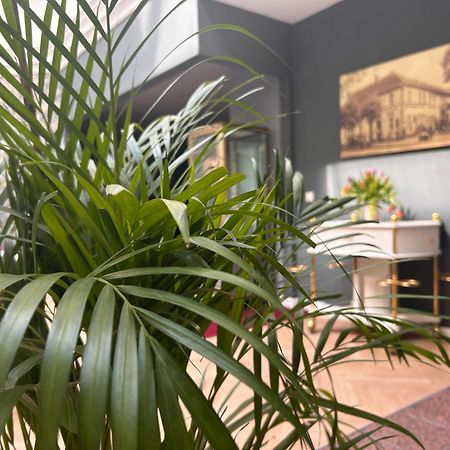 Schlosshotel راينزبرج المظهر الخارجي الصورة